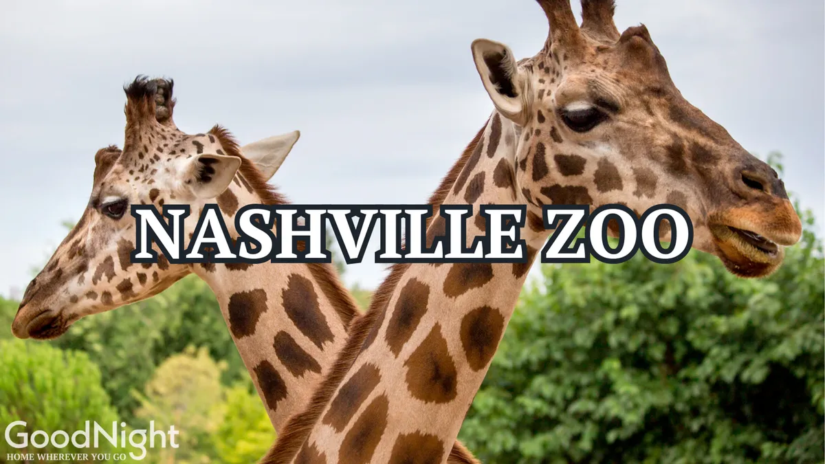 A joyful, sunlit scene at the Nashville Zoo, with giraffes grazing among lush greenery. Families and children are visible, engaged in animal watching and making memories together, conveying a sense of excitement and discovery.